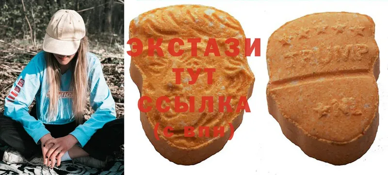 Ecstasy Punisher  где купить наркоту  Губкинский 